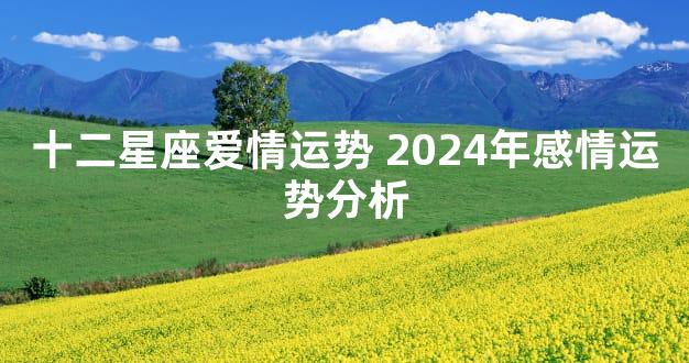 十二星座爱情运势 2024年感情运势分析